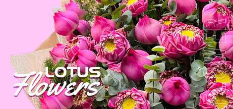 Lotus Flower - Vietnamese Flowers