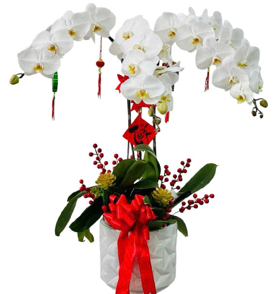 Loving Orchid Gift For Mom Vietnam