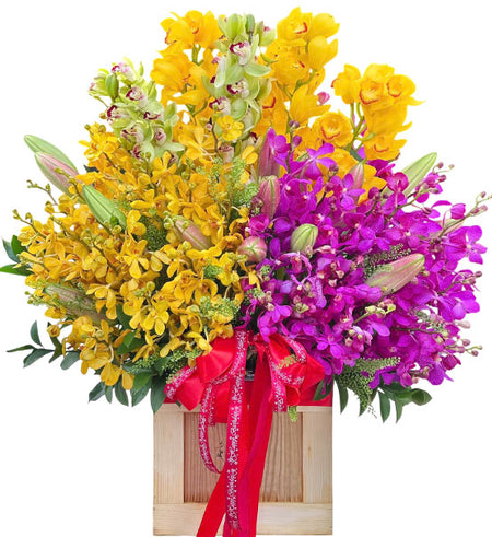 Luxury Mokara Orchid Basket Vietnam