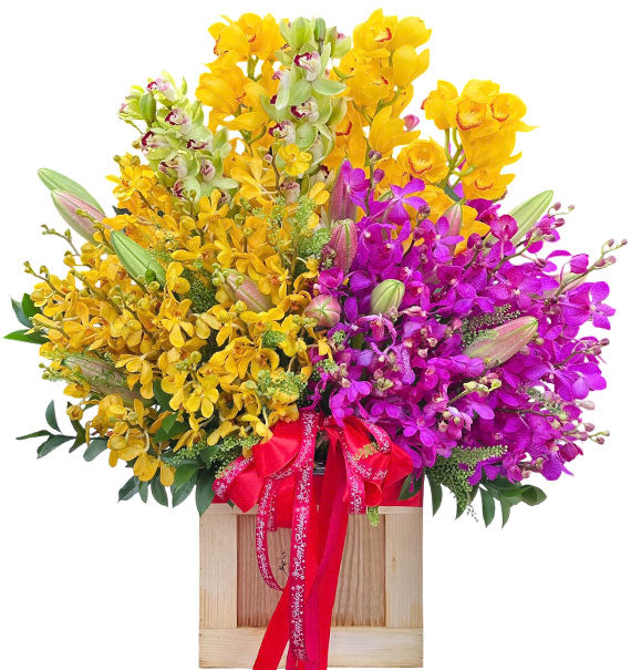 Luxury Mokara Orchid Basket Vietnam