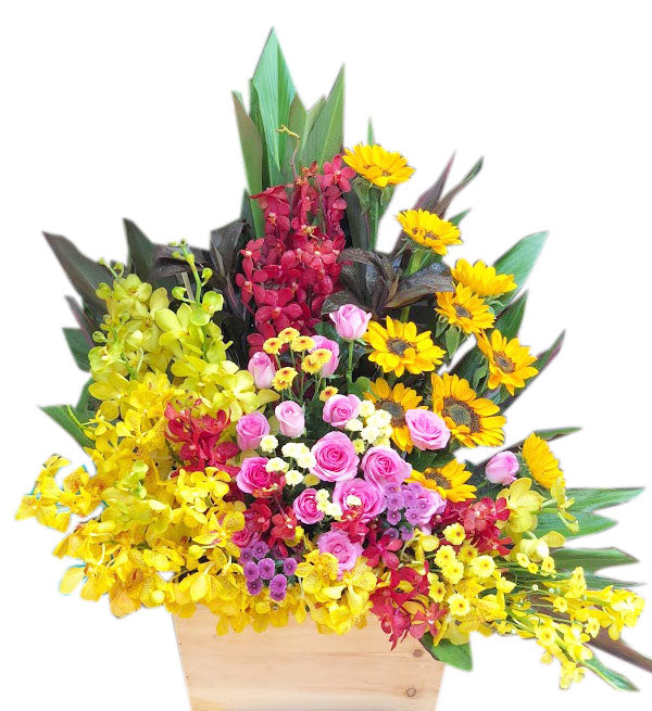 Mixed Orchids #6 - Vietnamese Flowers