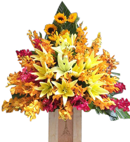 Mixed Orchids 40 - Vietnamese Flowers