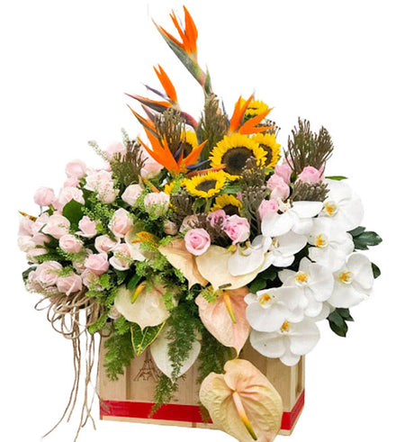 Mixed Orchids 60 - Vietnamese Flowers