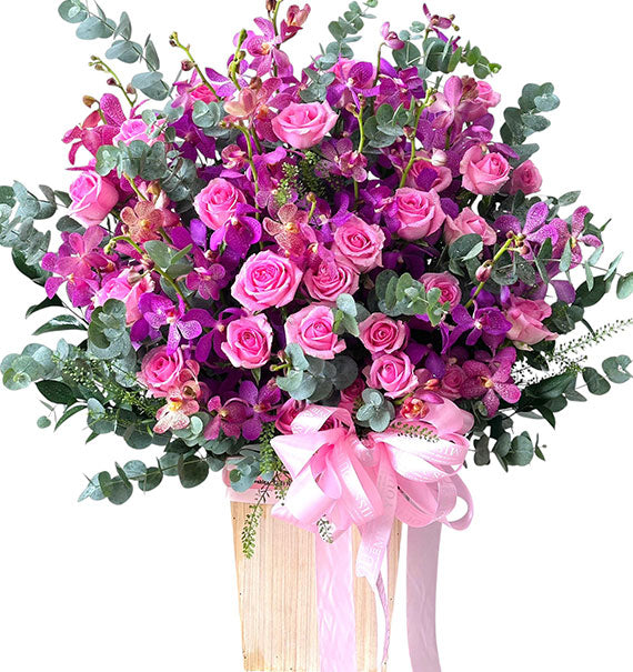 Mokara Blooming Love Basket Vietnam
