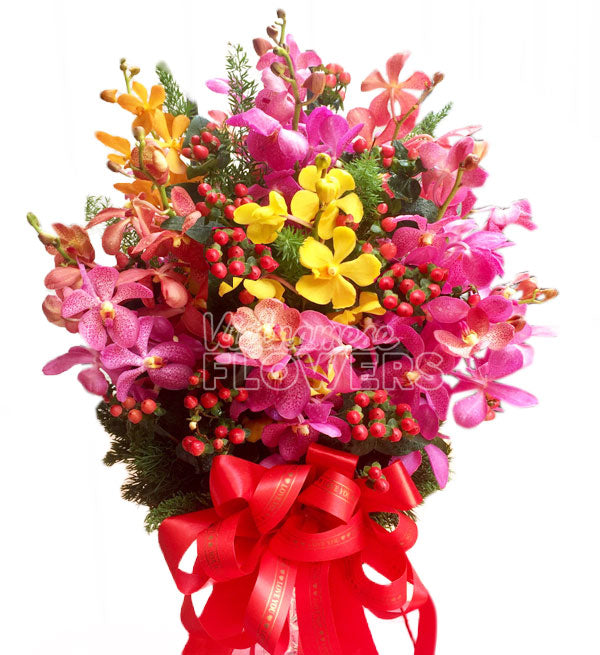 Mokara Orchid 02 - Vietnamese Flowers