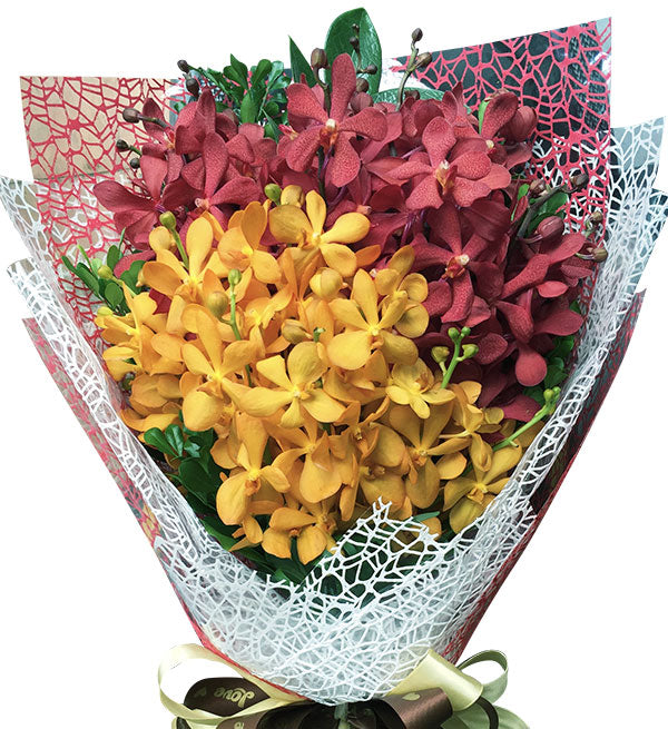 Mokara Orchid 05 - Vietnamese Flowers