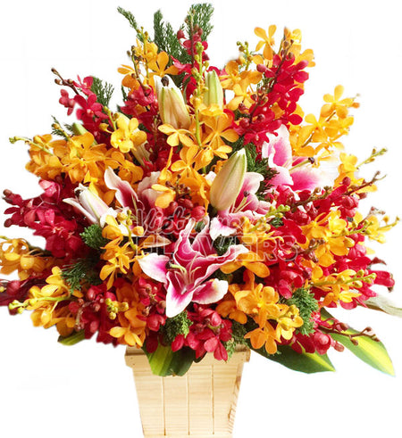 Mokara Orchid 06 - Vietnamese Flowers