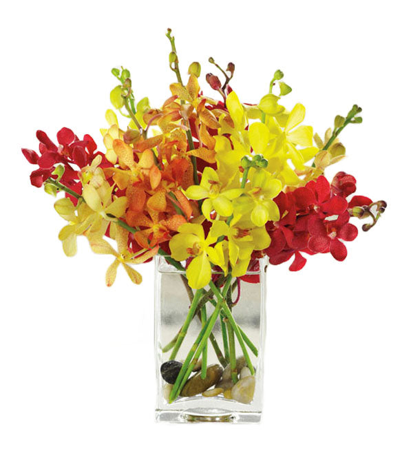 Mokara Orchid 35 - Vietnamese Flowers