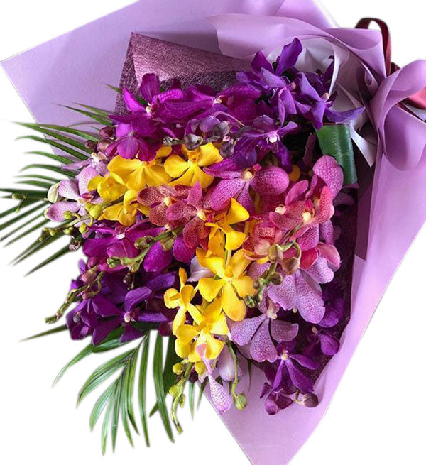 Mokara Orchid 50 - Vietnamese Flowers