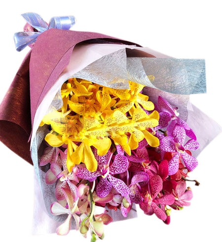 Mokara Orchid 55 - Vietnamese Flowers