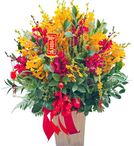 Mokara Orchid Blooming Basket Vietnam
