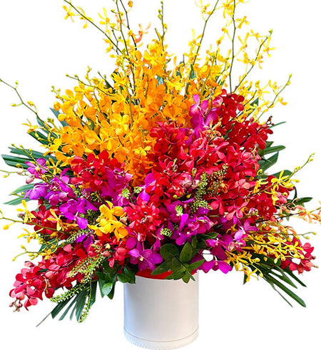Mom’s Orchid Blooming Day Basket Vietnam