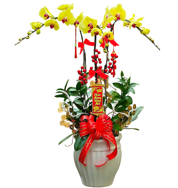 Mother’s Potted Orchid Charm Vietnam