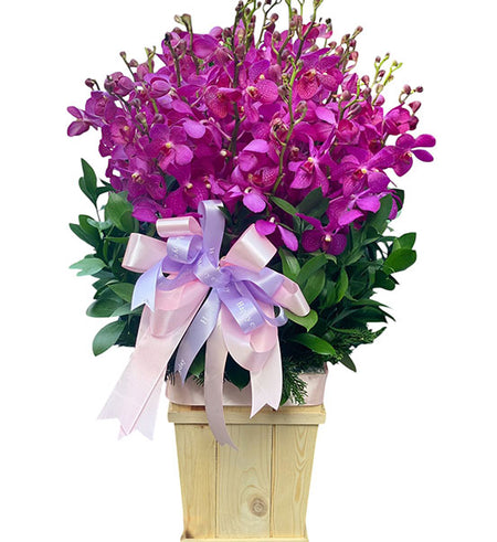 Orchid Basket For Mother's Day Vietnam