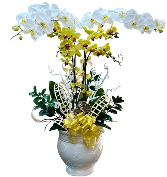 Orchid Bliss Arrangement Vietnamese Flowers