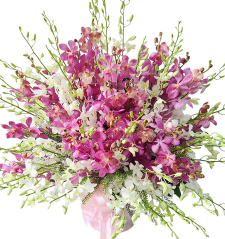 Orchid Fresh Delight Basket Vietnam