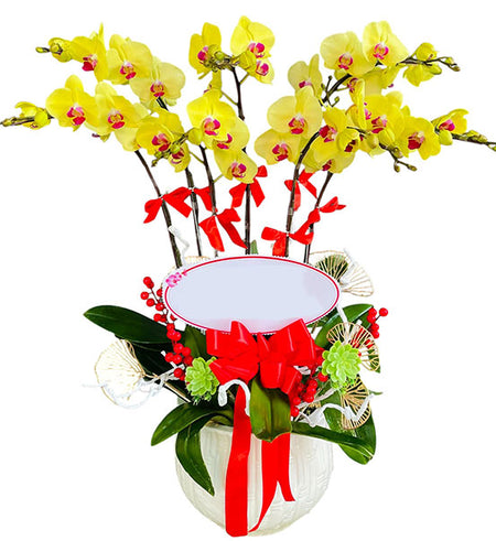 Orchid Harmony Arrangement Vietnamese Flowers