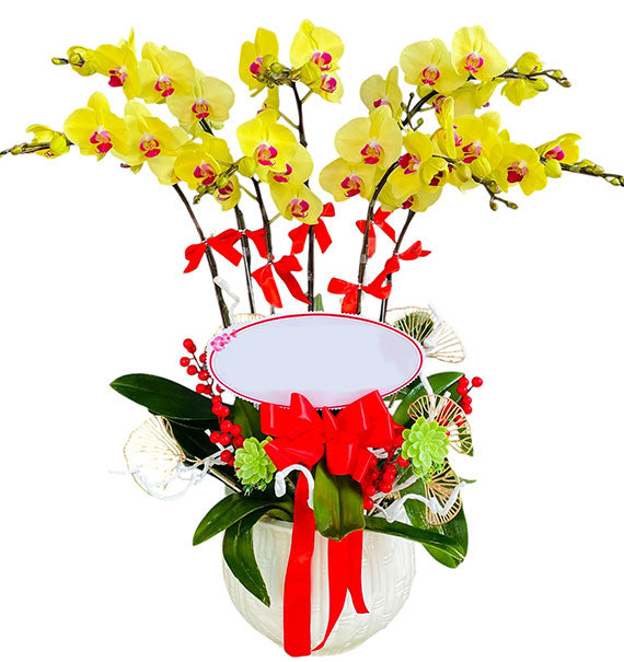 Orchid Harmony Arrangement Vietnamese Flowers