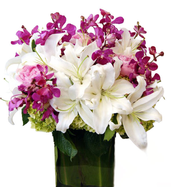 Orchids & Lilies #7 - Vietnamese Flowers