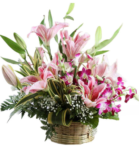 Orchids & Lilies #8 - Vietnamese Flowers