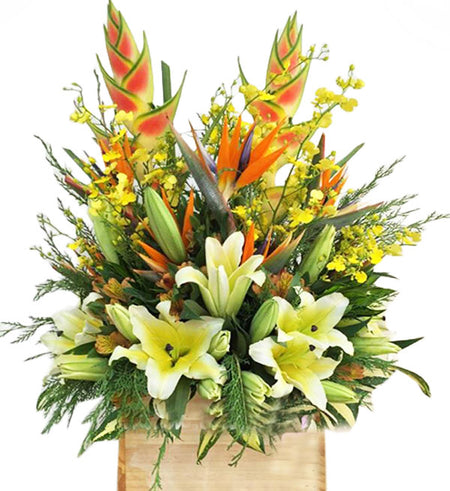 Orchids & Lilies 10 - Vietnamese Flowers