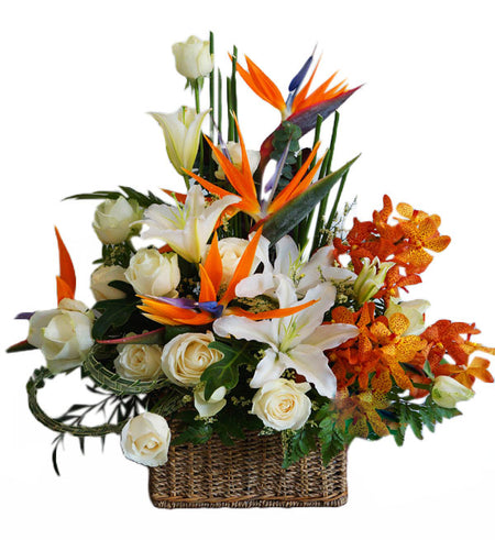 Orchids & Lilies 13 - Vietnamese Flowers