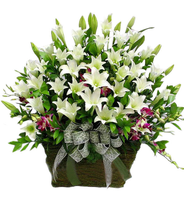 Orchids & Lilies 15 - Vietnamese Flowers
