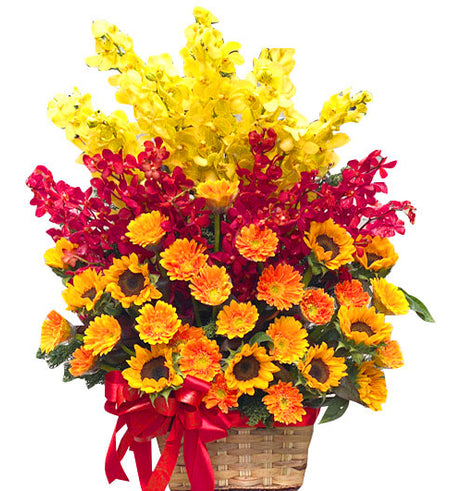 Orchids For Mom 03