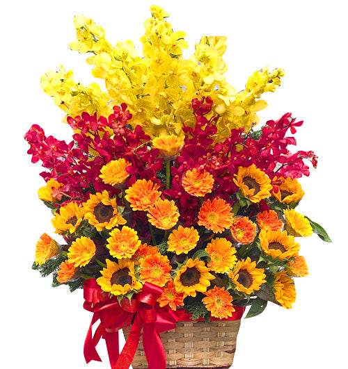 Orchids For Mom 03