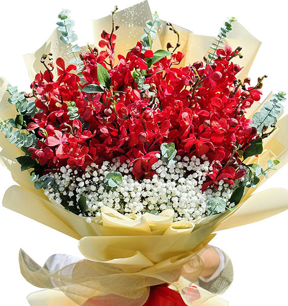 Orchids For Mom 04