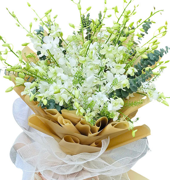 Orchids For Mother's Day Vietnam