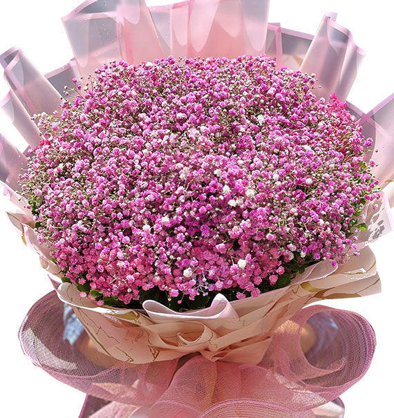 Pink Baby’s Breath Bouquet Vietnam