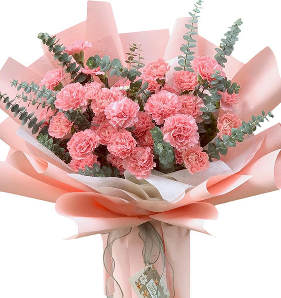 Pink Carnation Bouquet Vietnam