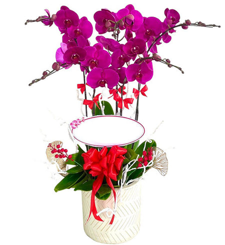 Potted Orchid Romance for Mom Vietnam