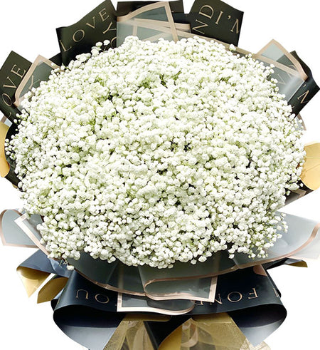 Pure White Baby’s Breath Vietnam