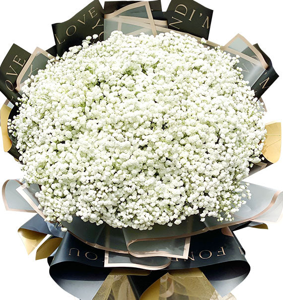 Pure White Baby’s Breath Vietnam