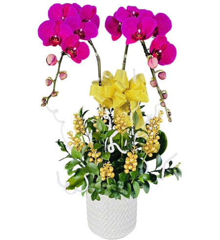 Purple Orchid Bliss For Mom Vietnam