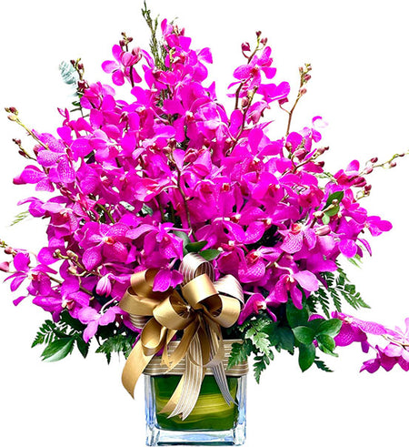 Purple Orchid In Vase Vietnam
