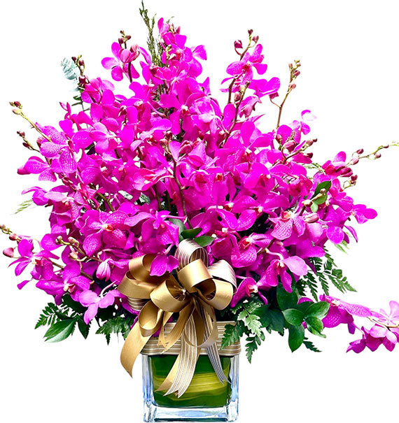 Purple Orchid In Vase Vietnam