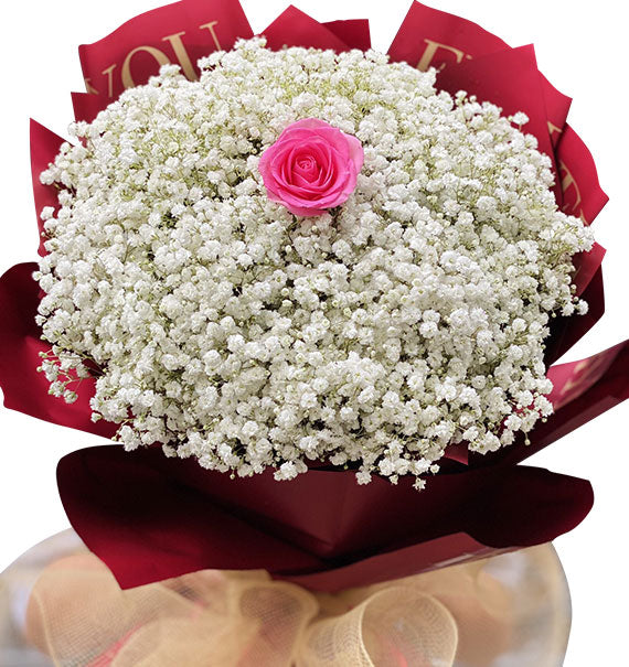 Romantic Baby’s Breath Flowers Vietnam