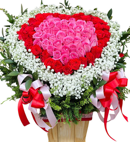 roses for valentine 05