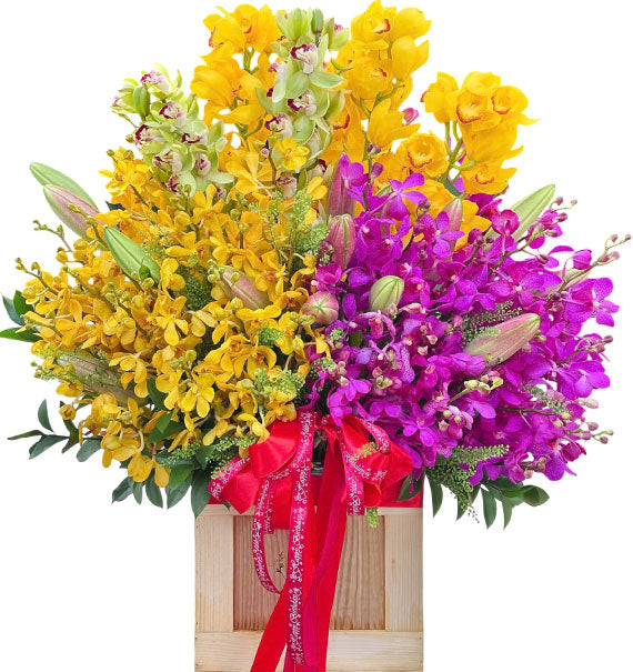 Special Mother’s Day Orchids Basket Vietnam