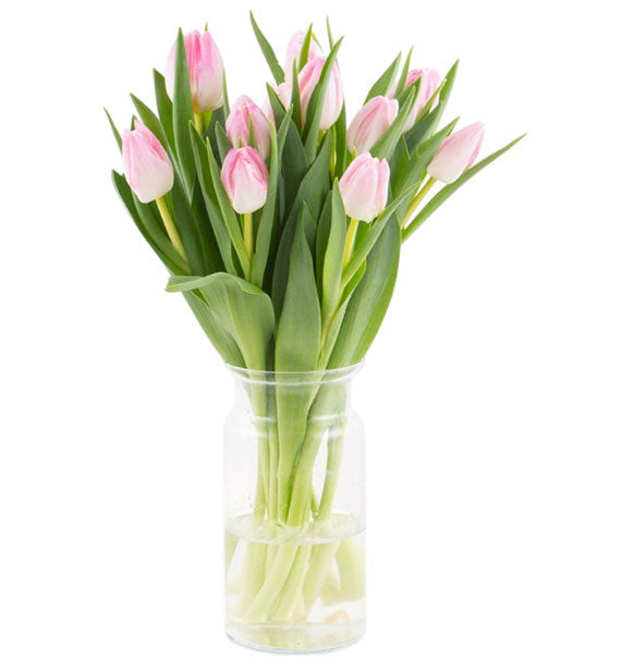 Spring Tulip Vase Vietnam