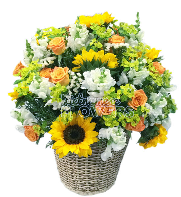 Sunflowers Basket 3 - Vietnamese Flowers