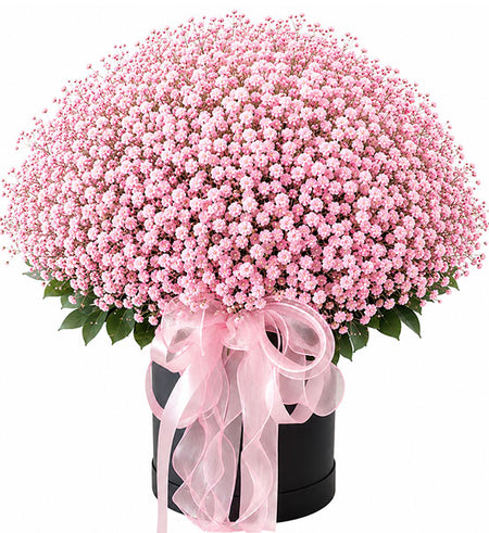 Sweet Gypsophila Basket Vietnam