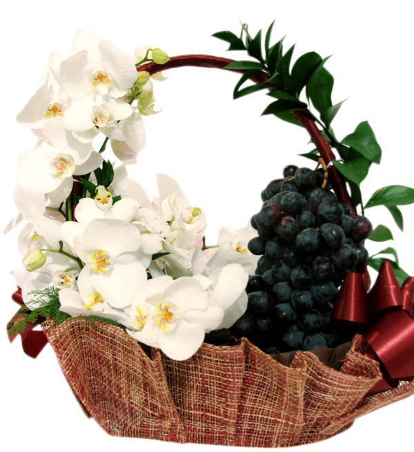 Sympathy Fruits Basket 10 - Vietnamese Flowers