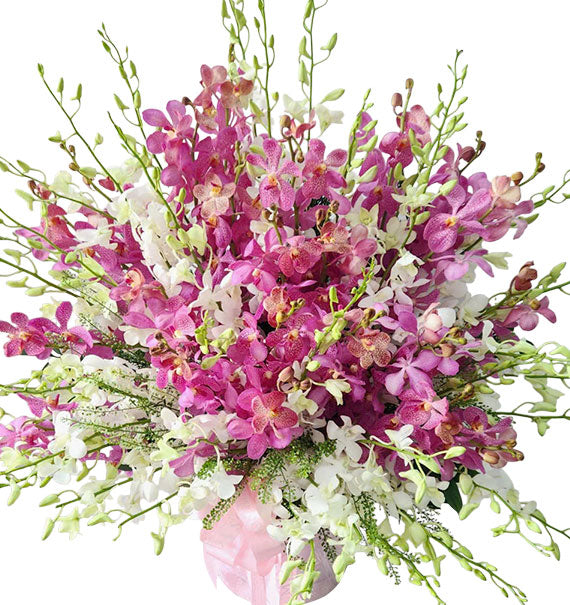 Thank You Mom Orchid Basket Vietnam