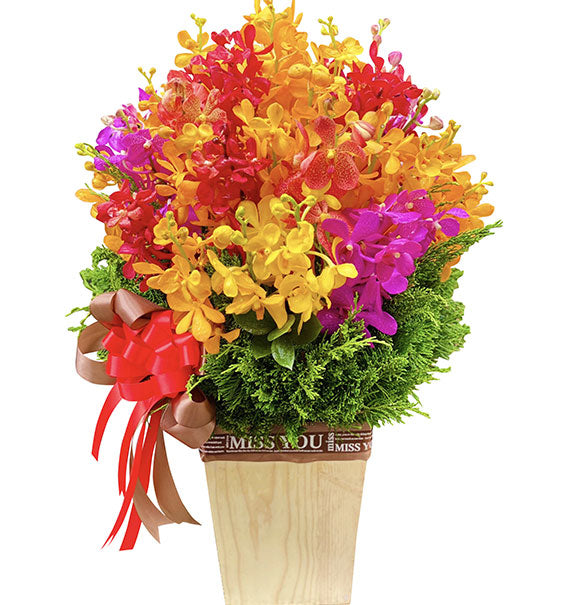 Tropical Mokara Orchid Basket Vietnamese Flowers