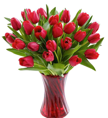 Tulips Flowers 07 - Vietnamese Flowers