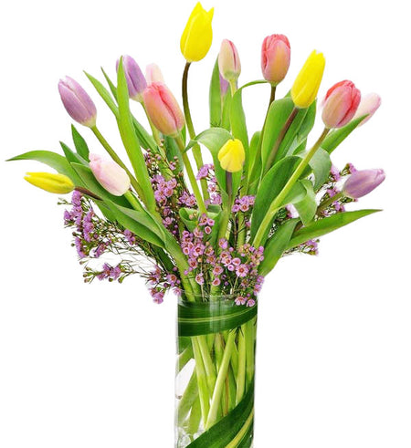 Tulips Flowers 13 - Vietnamese Flowers